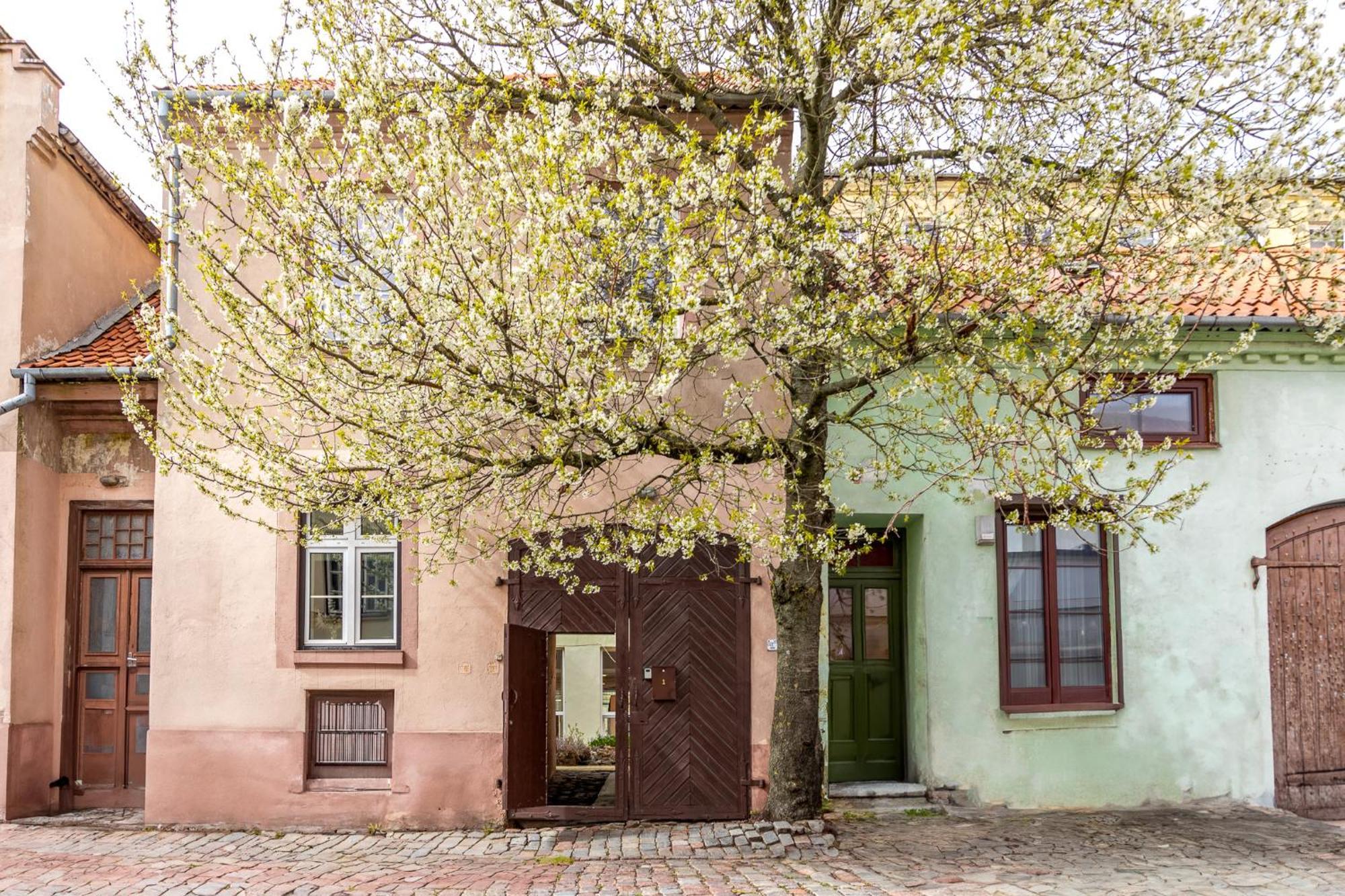 In The Heart Of The Old Town Vip Apartment Klaipėda Kültér fotó